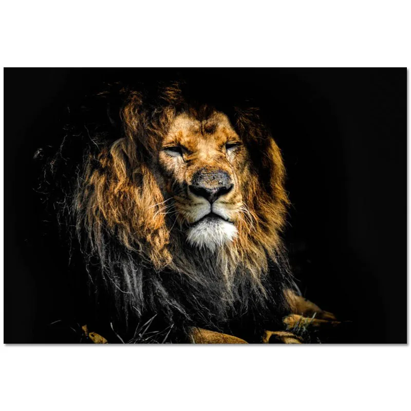 

Custom Canvas Decor Animal Lion Colorful HD Wall Fabric Posters And Prints Home Decor Painting 20x30cm,27x40cm,30x45cm