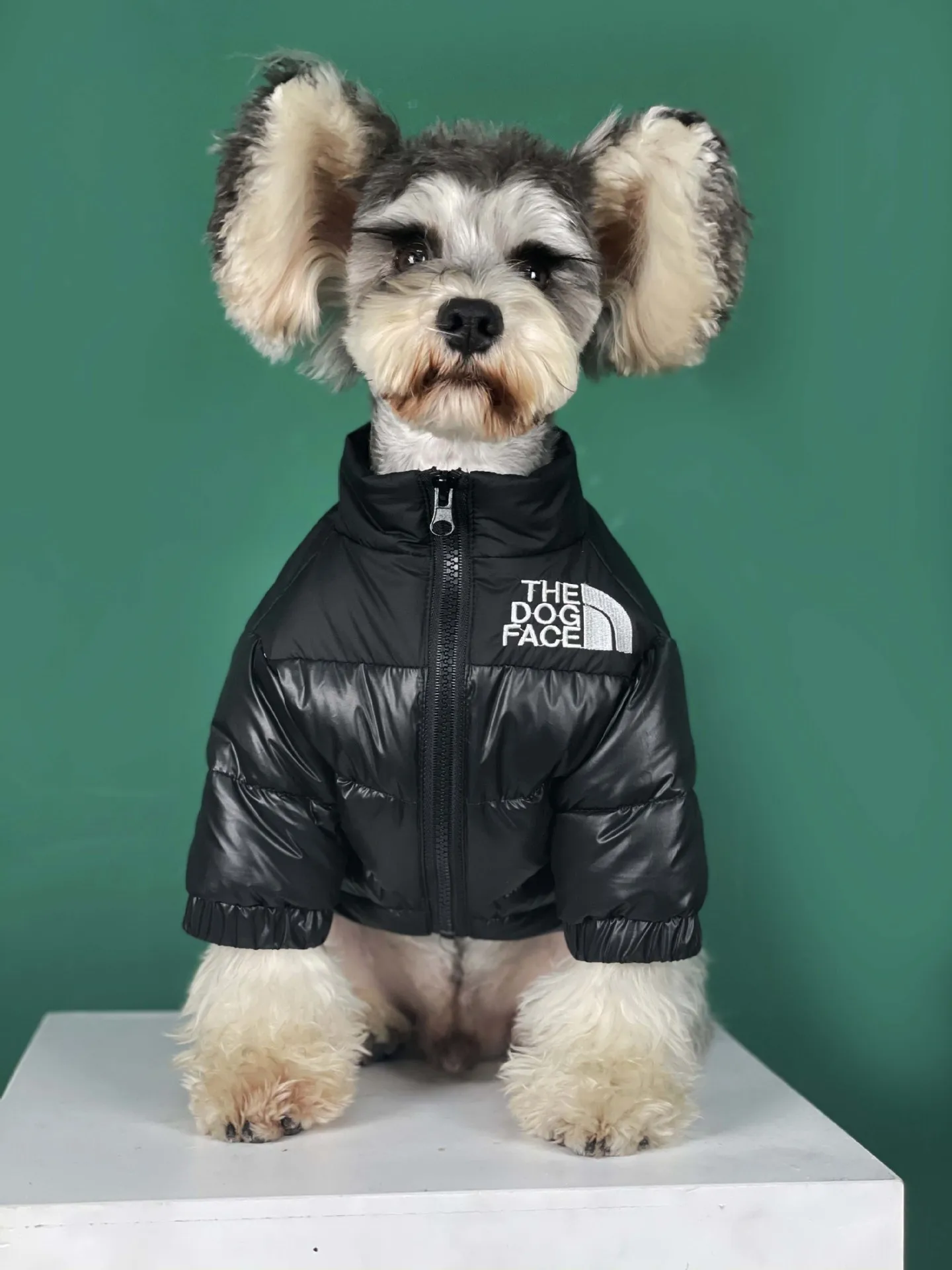 

Small medium dog autumn winter jacket dog coat Teddy Schnauzer Bichon thickened cold warm down jacket pet luxury puppy clothes