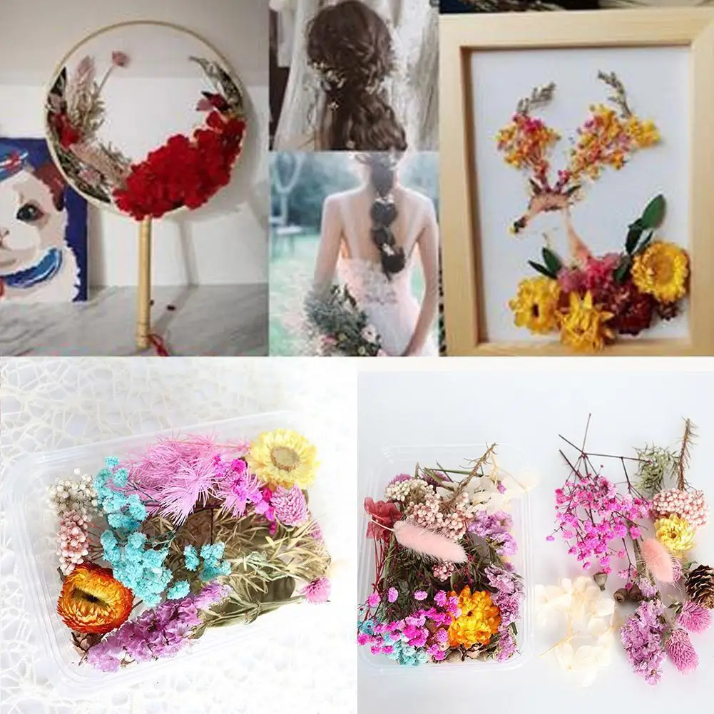 

1Box Dried Flower For DIY Art Craft Epoxy Aromatherapy Jewellery Decor Candle Natural Making Pendant Supplies Plants Resin E3K0
