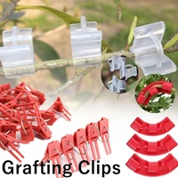 50pcs5pcs graft clips round flat home garden support vegetable plastic reusable tool agriculture fixture clamp plant bender