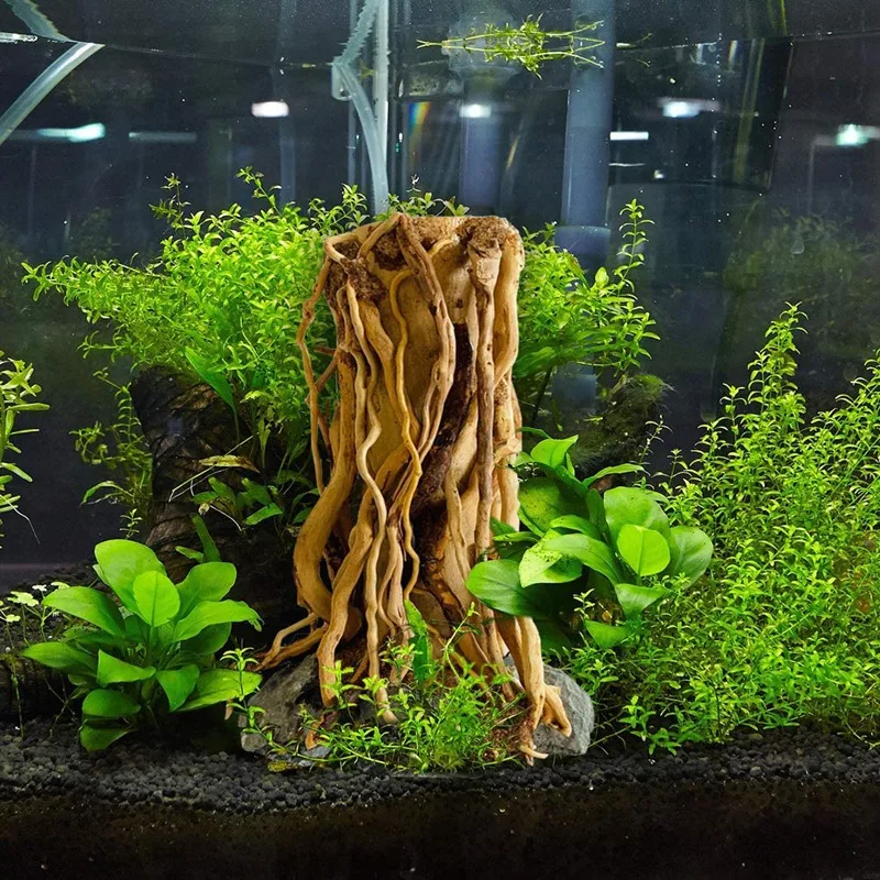 

Driftwood Mini Aquarium Tree on Rock Natural, Handcrafted Fish Tank Decoration Tree Stump Forest Shelf