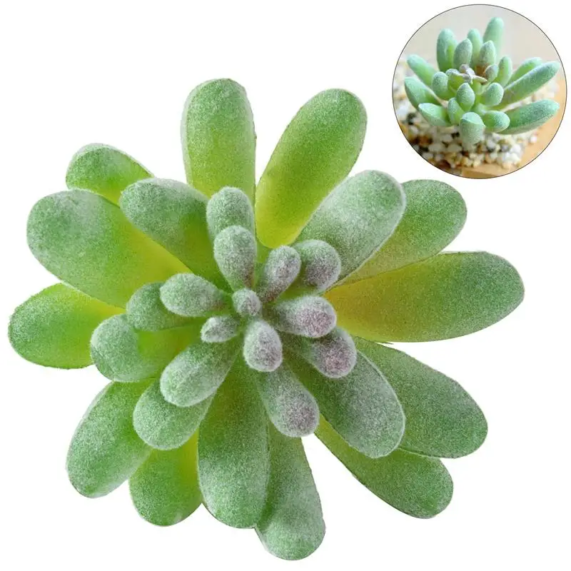 10 Artificial Succulents Green Flocking Plant Bonsai Desktop Fake Plants Valentine Day Christmas Wedding Decoration Plante - Цвет: 10