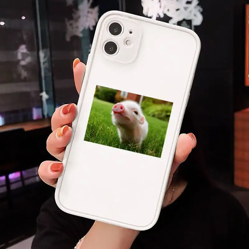 

Cute Little Pink Pet Pig Phone Case For iPhone 12 11 Mini Pro XR XS Max 7 8 Plus X Matte transparent White Back Cover