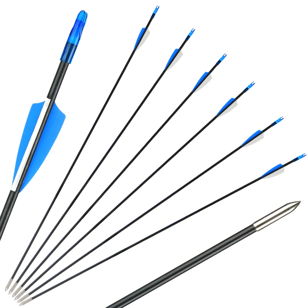 

6pcs Archery Bow Fiberglass Arrow 31" Traditional Archery Target with Plastic Feather Fletching for Compound/Recurve bow Outdoor