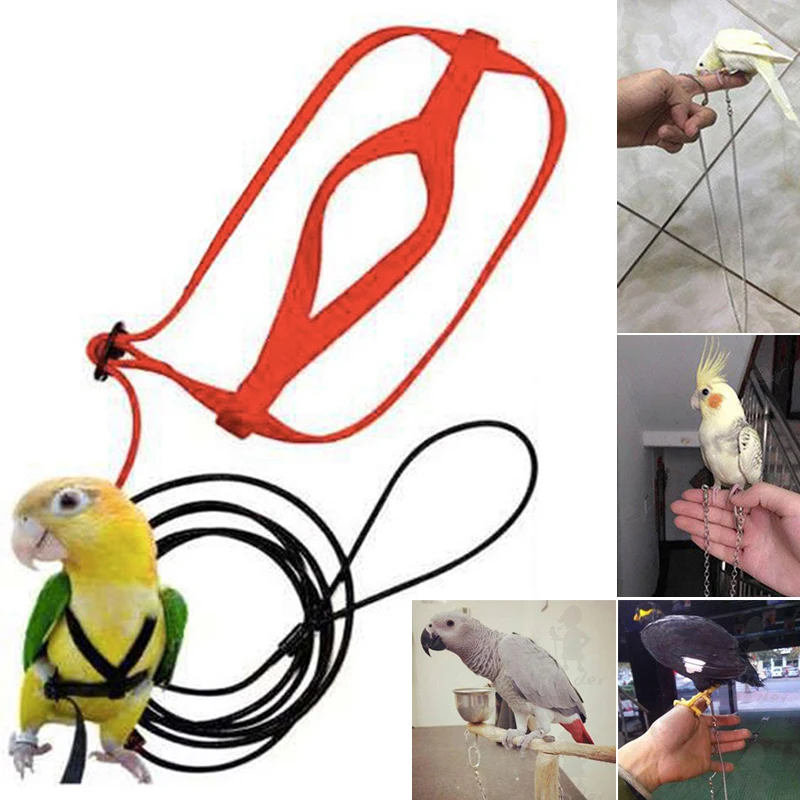 

Anti-bite Flying Training Rope Parrot Bird Harness Kits Ultralight Harness Leashes Soft Portable Pet Playthings