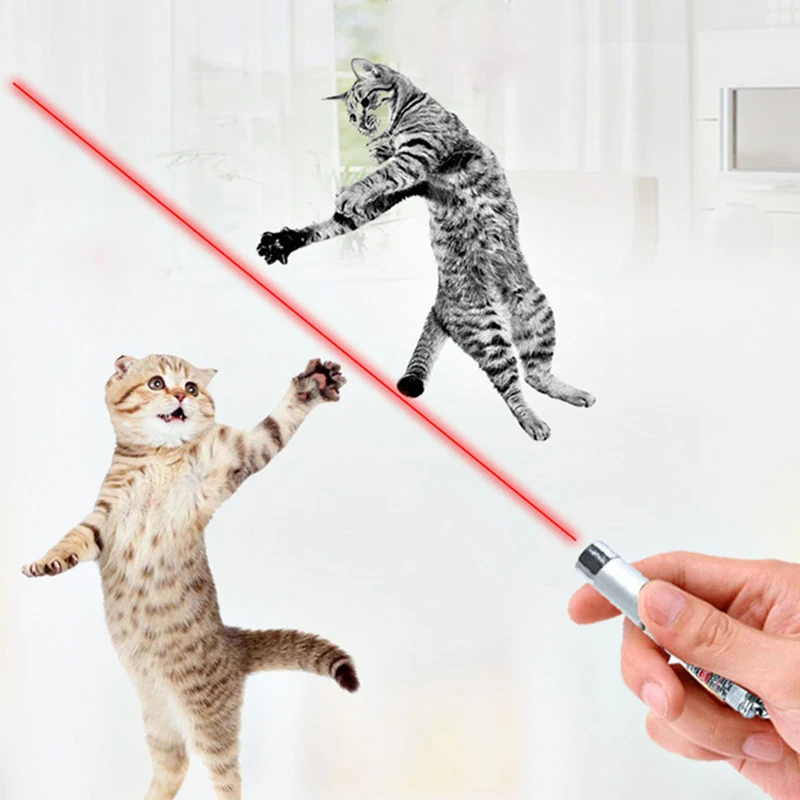 Светодиодный фонарь Red Lazer Pointer 2 × Toy Mini 3 в 1 кот Pet лазерный брелок с ручкой | Дом и