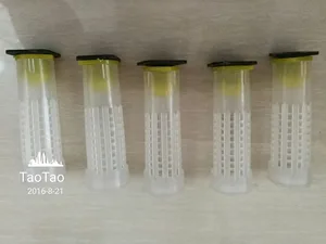 200 шт. инструменты для пчеловодства, король плодовитости, пчеловодство, защитная стойка, длинностенная защита, королевская клетка, чехол