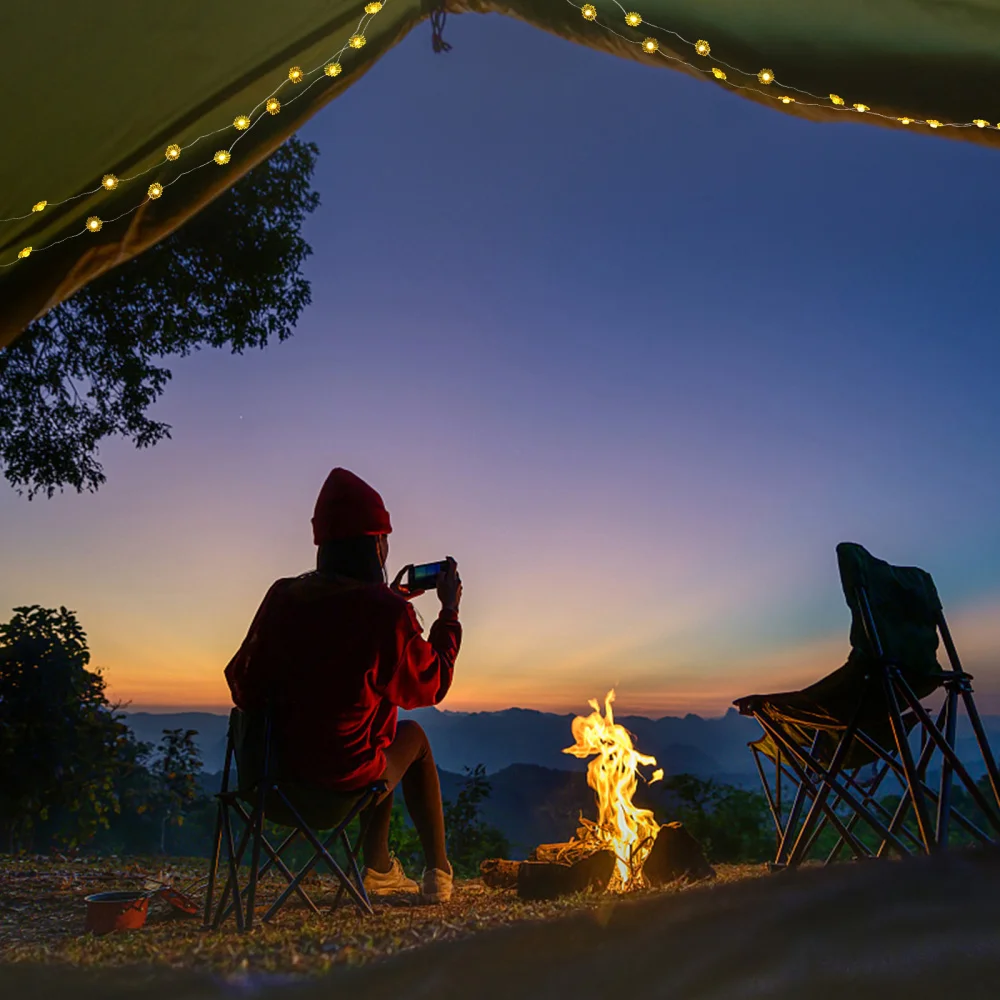 

LED Lamp String Small Daisy Style Light String Night Lamp Adornment Battery