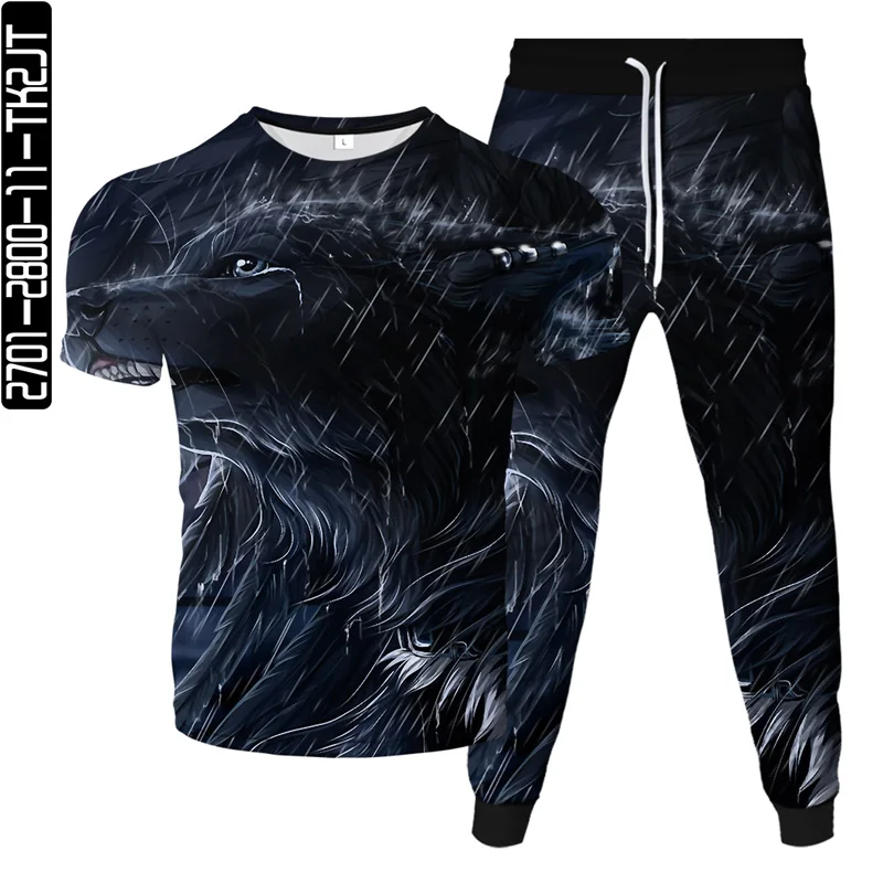 

2021 new 3D printing digital printing summer thin men's and women's fashion suit two-piece large size T-shirt + trousers