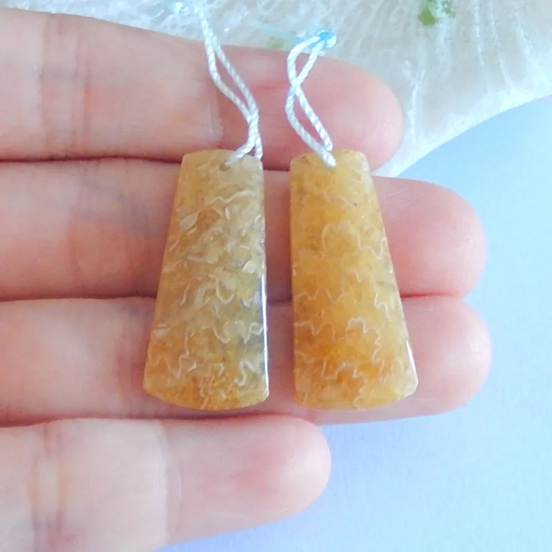 

Natural Ocean jasper Gemstone fashion Natural Earrings,23x12x3mm,6.3g