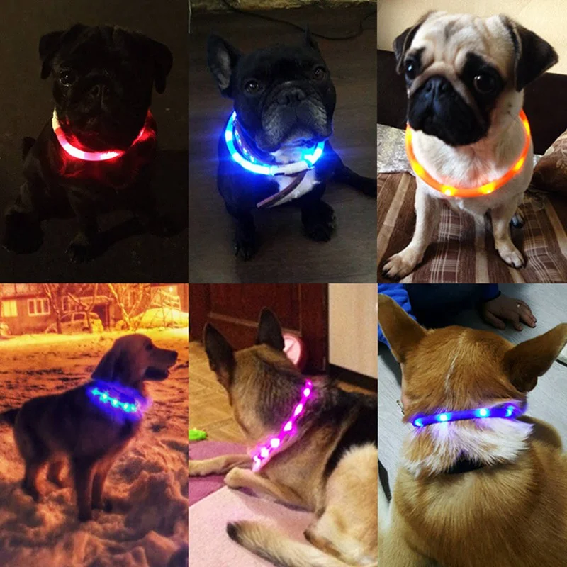 Pet Dogs Cats USB Rechargeable Flashing Night Collars Luminous Collar LED Light Dog Glowing Teddy Flash | Дом и сад