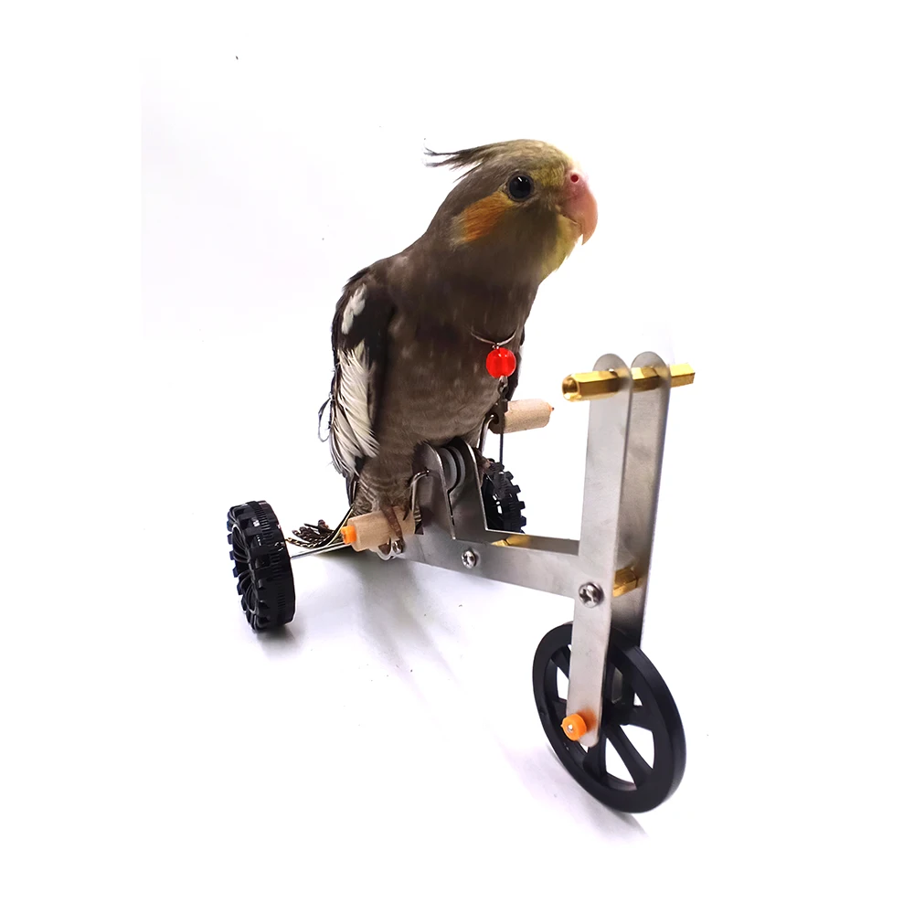 

Funny Parrot Toy Birds Training Plaything Interesting Parrot Toy Bike Bird Training Supplies Parrot Training Props For Birds