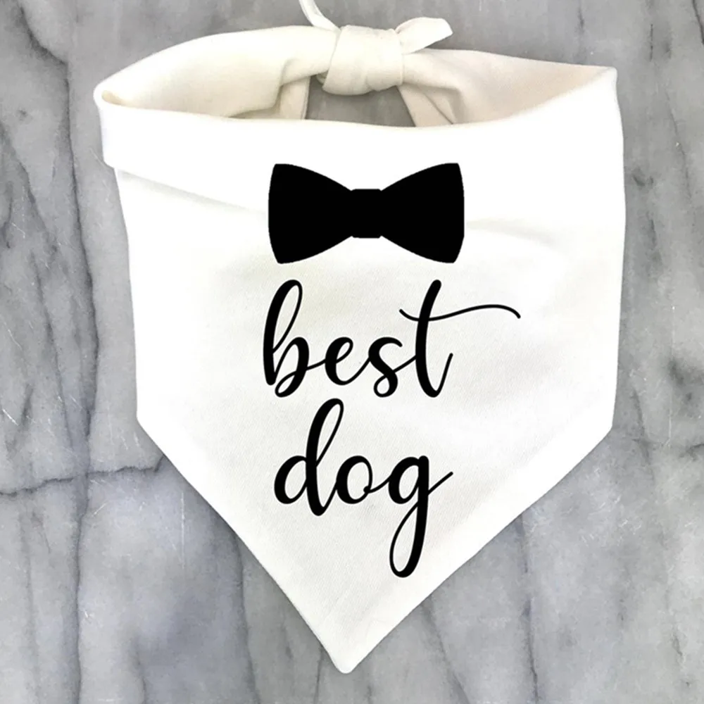 Meilleur meilleurs bandanas pour chiens