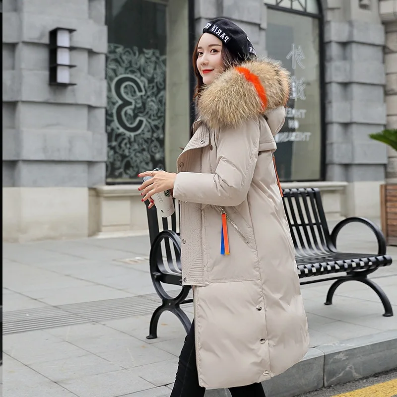 Зимняя женская куртка 2019 Корейская версия пуховой хлопковой куртки с капюшоном