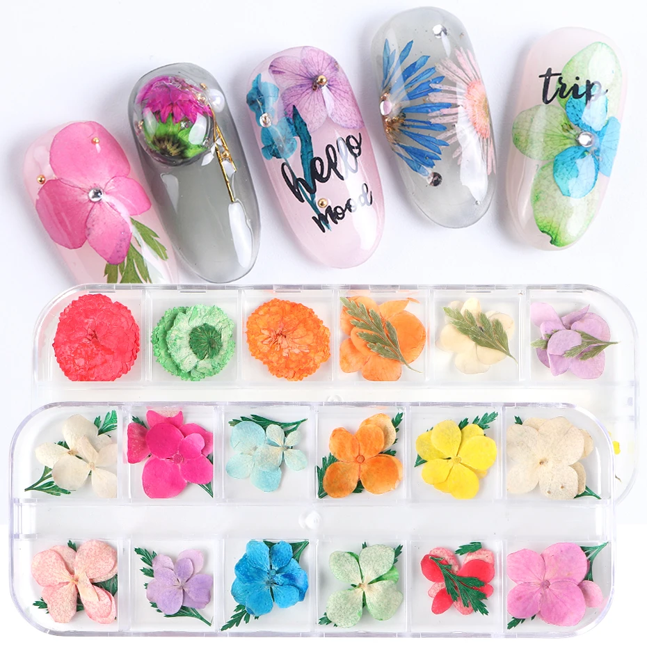 

Mixed Patterns Dry Flower Sticker For Nail Art Decoration Daisy 3D Natural Dried Flowers Nail Art UV Gel DIY Decals JIF25-41