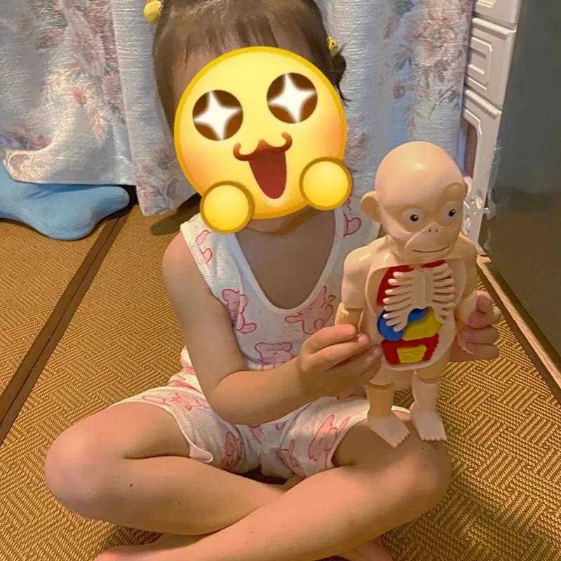 Anatomia do Corpo Didáticos para Crianças Montessori Quebra-cabeça Humano Aprendizagem Educacional Precoce Faça Você Mesmo Montado Brinquedos Sensoriais H746w 3d