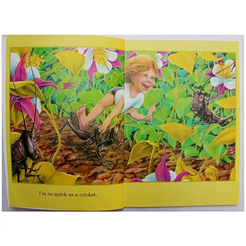 Книжка с картинками на английском языке надписью Don Wood  Игрушки и