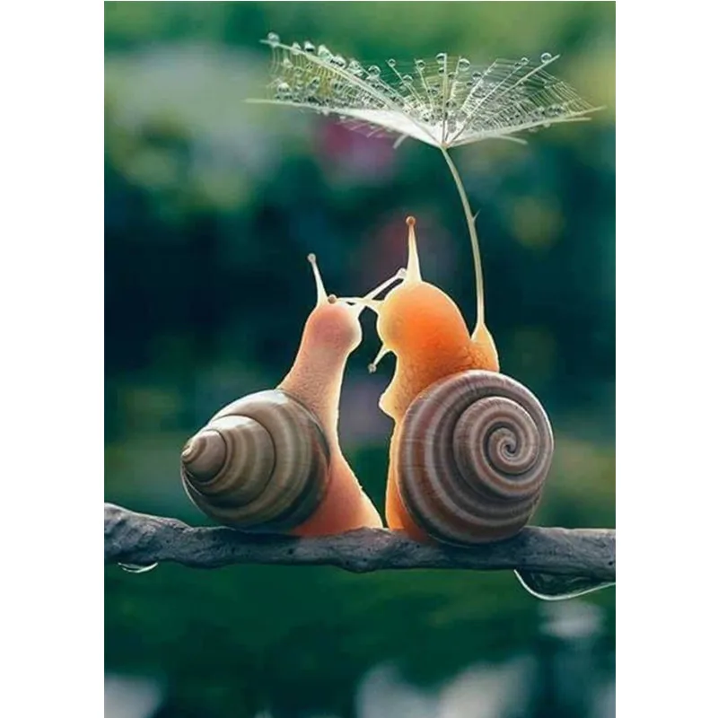 Алмазная живопись 5D &quotсделай сам&quot алмазная полноформатная вышивка Улитка
