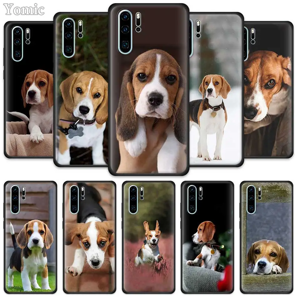 

Beagle Dog Fitted Case for Huawei P30 P Smart Z Y6 P40 Lite E Y7 P20 Pro Y6p Y9 2019 Y8p Y8s Silicone Black Soft Phone Cover
