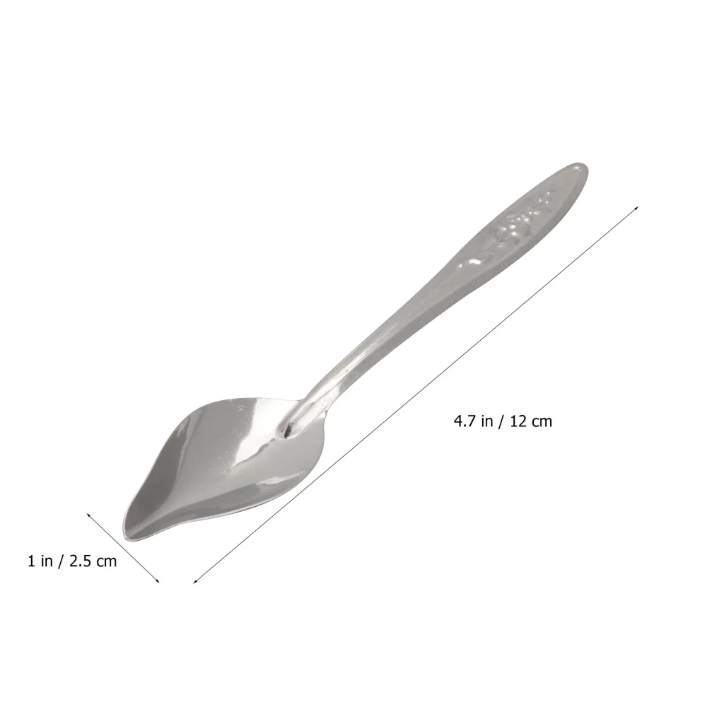 

5PCS Bird Parrot Food Feeding Scoop Stainless Steel Liquid Feeding Spoon for Cockatiel Parrot