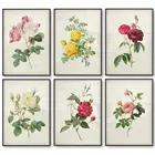 Ботанический цветок розы, винтажный постер, холст с рисунком красной, розовой, желтой, белой розы, антикварная настенная Картина на холсте, домашний декор