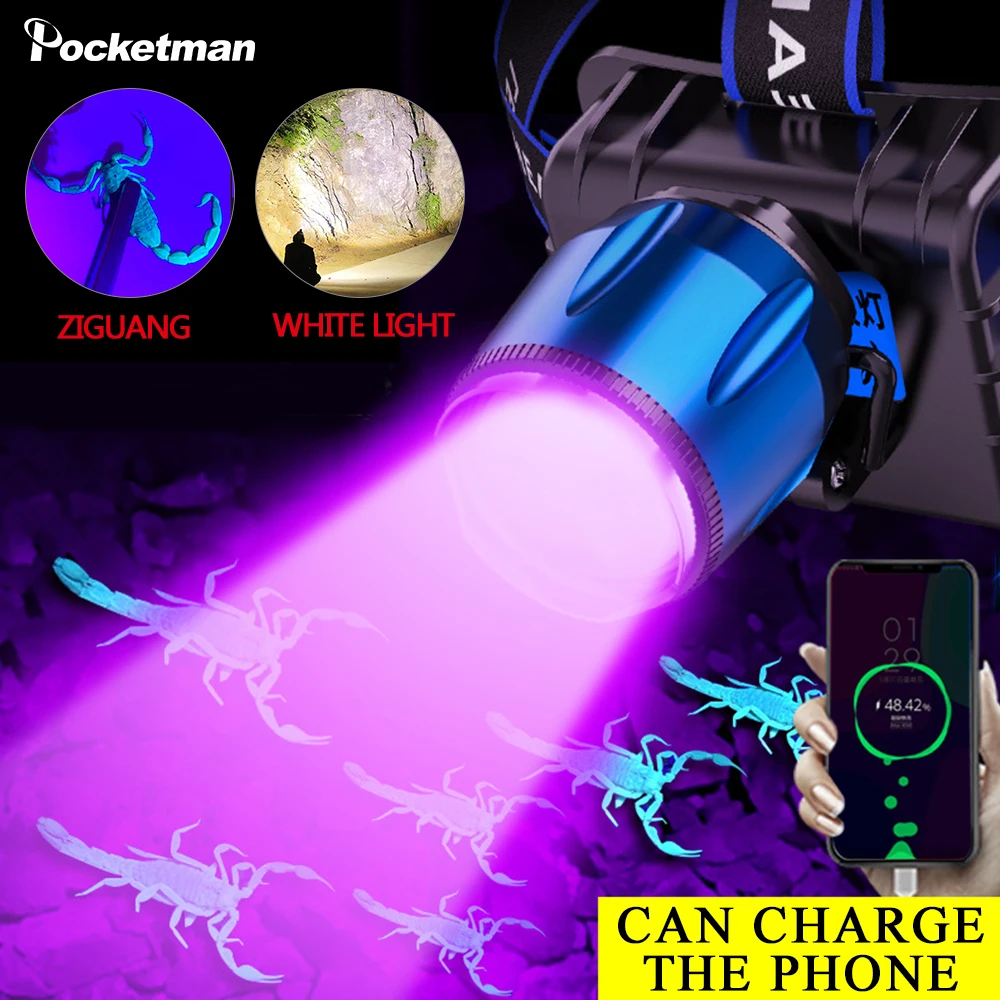 

Powerful UV LED headlamp rechargeable 4 mode zoom violet/white light headlights UV Flashlight Head Torch scorpion catching lamp