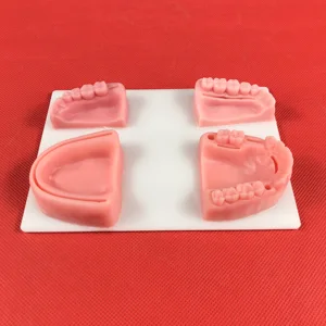 Стоматологический модуль для тренировки ротовой полостидесен, силиконовая модель швов пародонтита