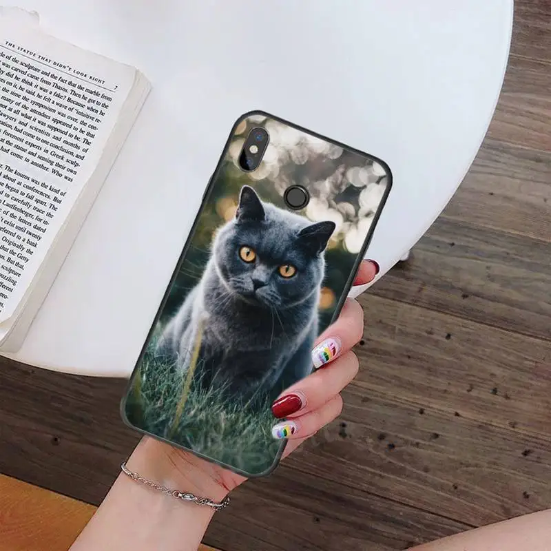 

Webbedepp British Shorthair cat Phone Case For Xiaomi Redmi note 7 8 9 t max3 s 10 pro lite Luxury brand shell funda coque