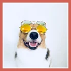 Средние и большие технические Модные солнцезащитные очки для домашних питомцев, товары для ухода за домашними животными, аксессуары для собак, маски