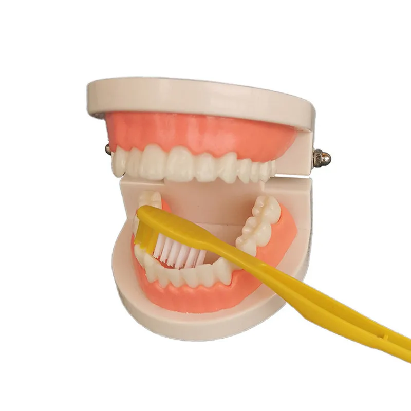 Монтессори малыша зубная игрушка практичный жизнь смоделированные Материал