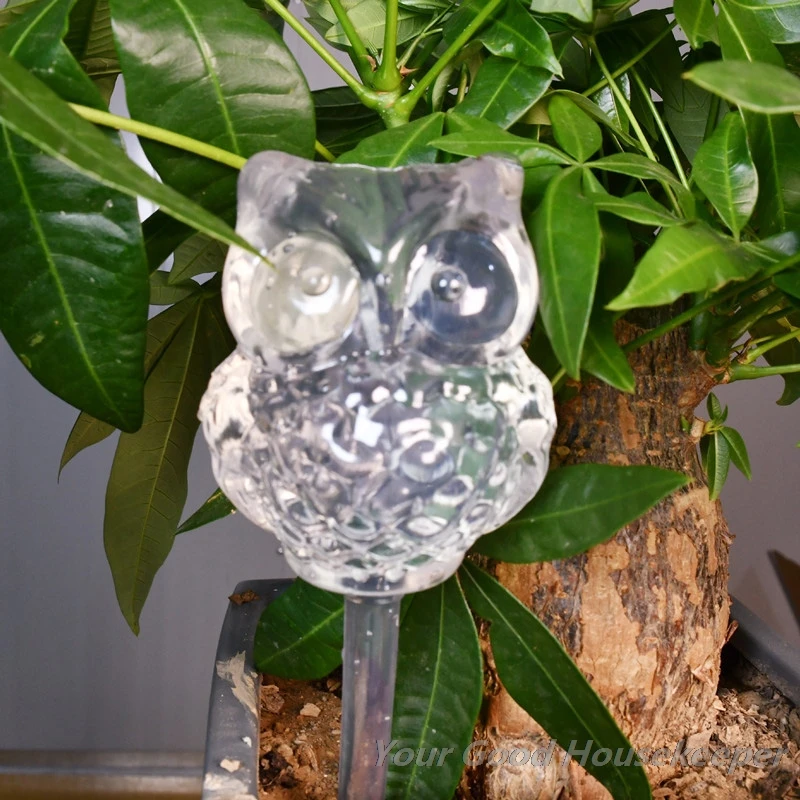 

Water Houseplant Plant Pot owl Automatic Watering Device Gardening Tools