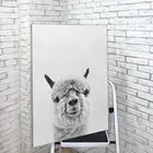 Картина Альпака ЧБ на холсте с подрамником  Российской производство  Крепление в подарок