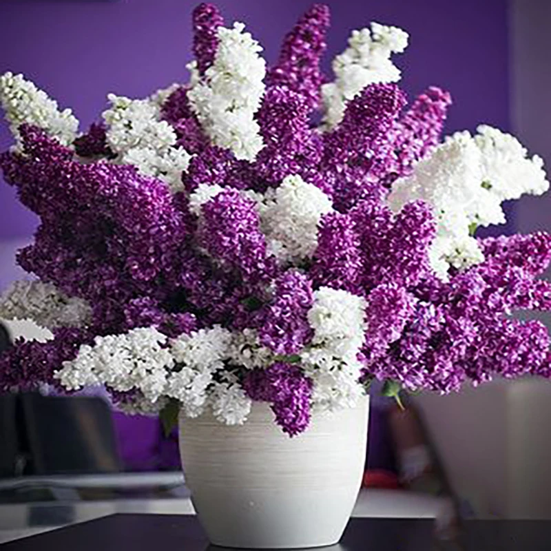 ZOOYA 5d алмаз живопись цветы алмаз вышивка сиреневый белый clove Полный Круглый дрель мозаика продажи ручной росписи по номерам - Цвет: 6R1944-22