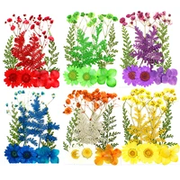 10pcsset pressed flowers yellow red orange blue green real dried flowers diy resin mold fillings uv epoxy for jewelry making