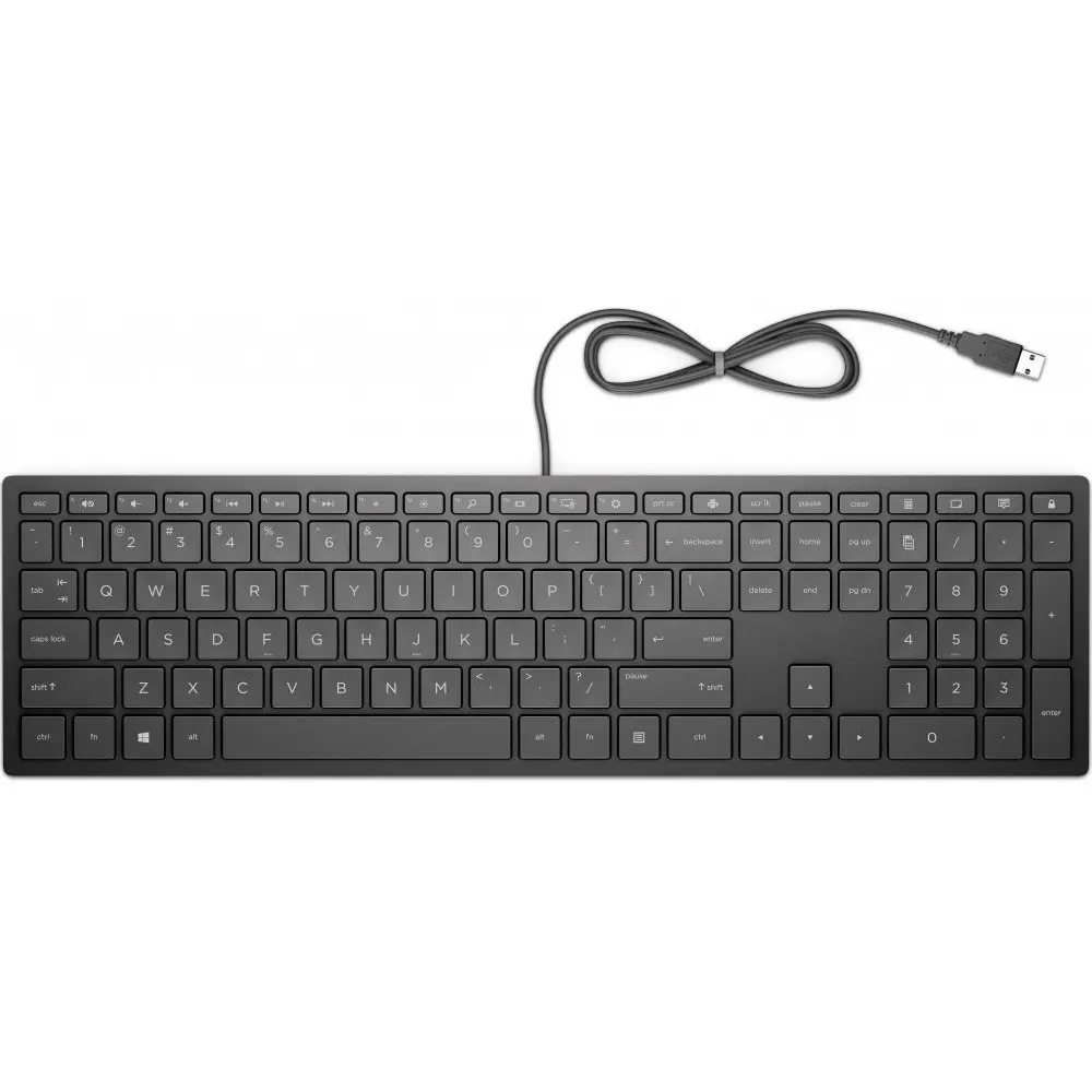 Keyboard HP Pavilion wired 300 (black) 4ce96aa | Компьютеры и офис