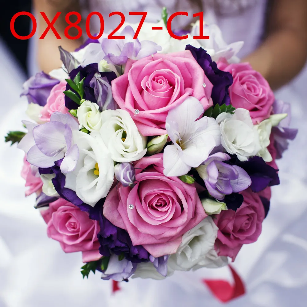

OX8027