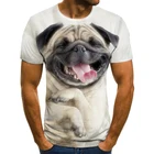 Новинка лета 2021, модная футболка с 3D-принтом милой собаки, мужские и женские топы