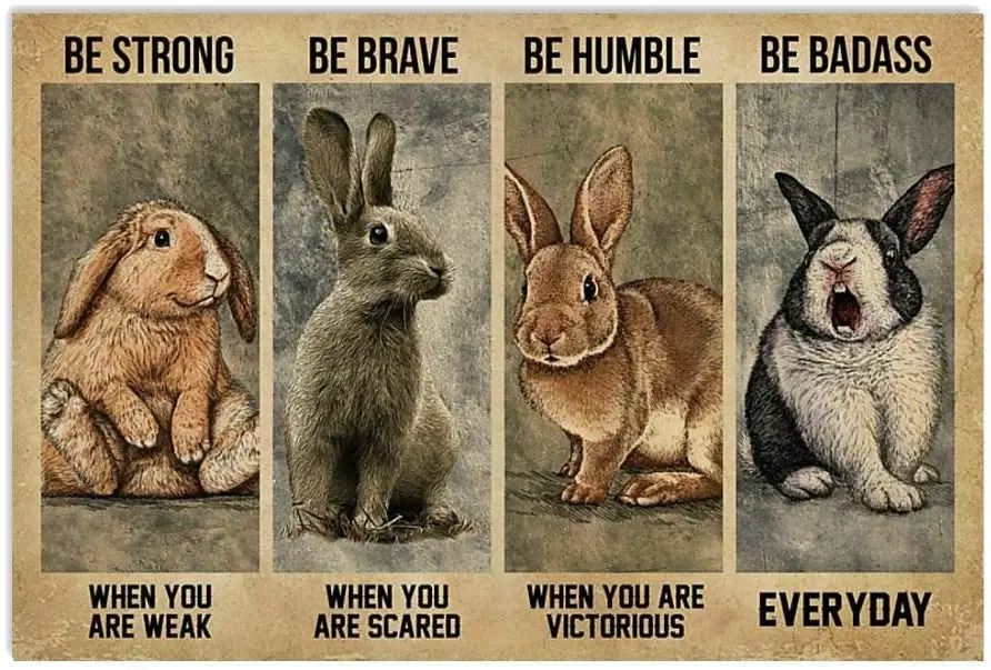 

Кролик быть сильным, когда вы слабы, быть плохим, каждый день, металлический жестяной знак, капитан, пират, бар, паб, человек, парковочная пеще...