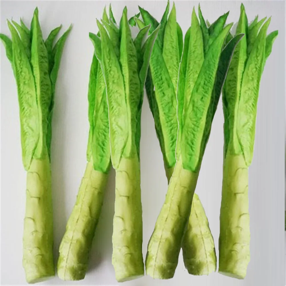 

photo props hotel dining room hall restaurant store shop kitchen decoracion asparagus lettuce fake artificial Vegetables model