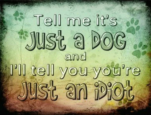 

Tell Me It's Just A Dog And I'll Tell You You're Just An Idiot Funny Metal Sign