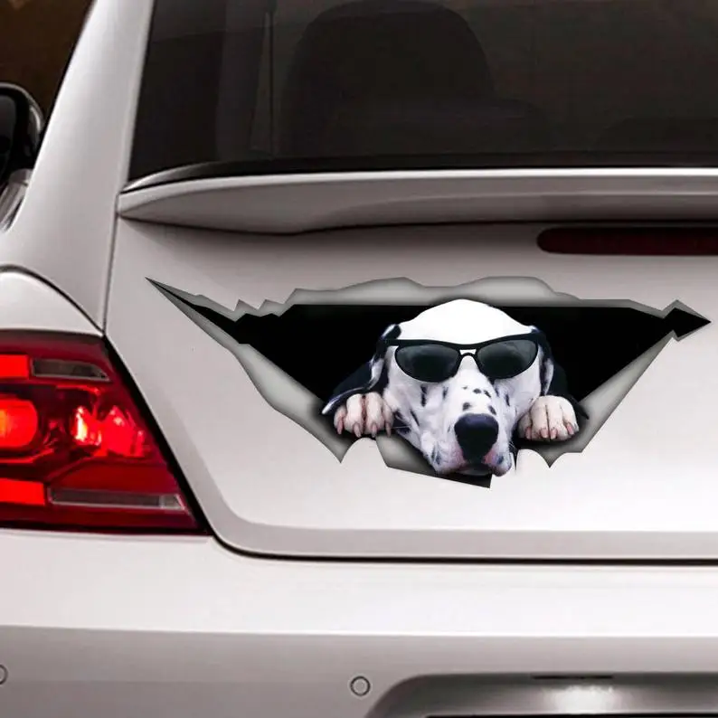 

Dalmatian car Decal, Pet decal , Dog Decal, Vinyl Decal, Car Decal, funny decal, Laptop Decal, 3D sticker