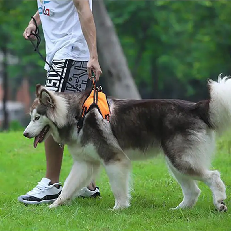 Большая собачья шлейка жилетка дышащая не тянуть упряжка для тренировки собак