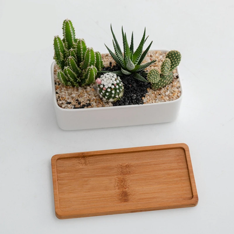 

6 Pcs 6.88 Inch Planter Pot Bamboo Saucer Succulent Pot Holder Drainage Tray for Small Ceramic Planters Holding