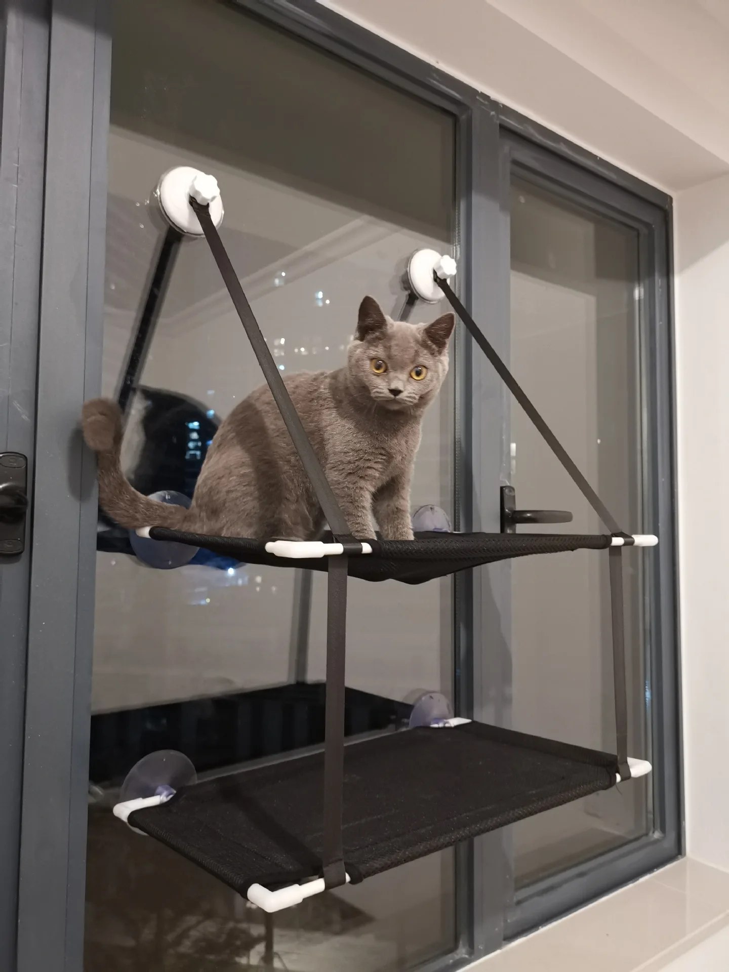 

Гамак для кошек, двойная кошачья кровать на присоске, подвесная кровать для домашних животных Amazon