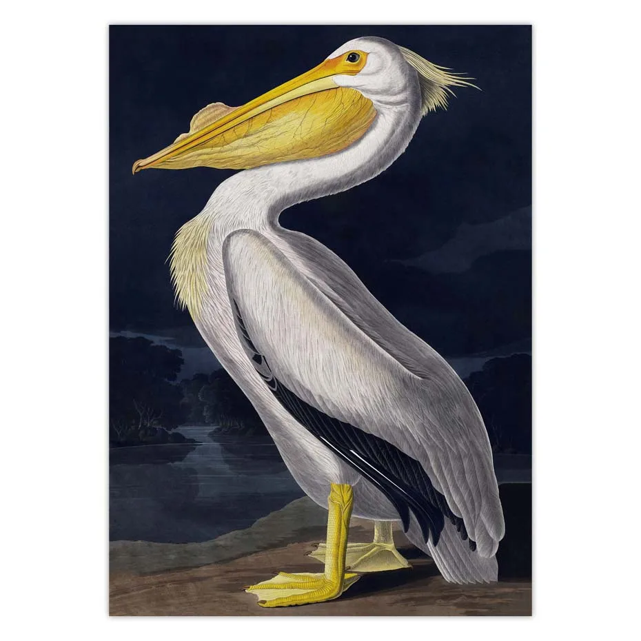 Винтаж птица холст печати Audubon плакаты с птицами Розовый фламинго Сова Pelican