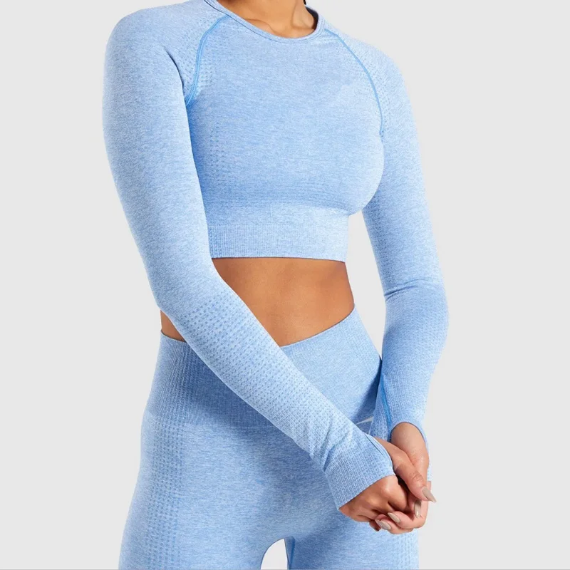 sky blue Vital бесшовный комплект из 2 предметов для йоги, тренировочная одежда для женщин, одежда для фитнеса и спортзала, комплект для спортзала с длинным рукавом, укороченный топ для спортзала - Цвет: sky blue