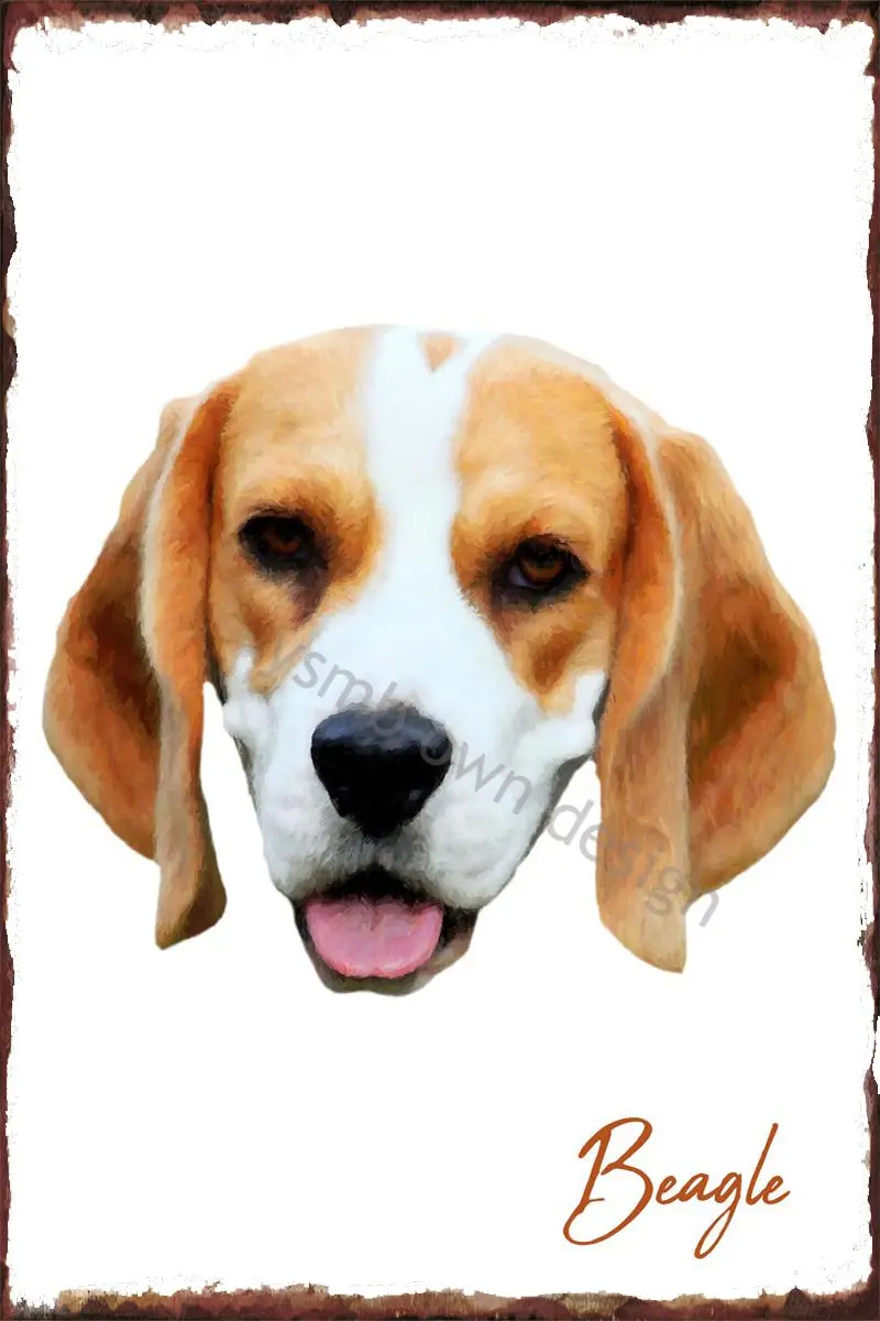 

Beagle Dog Color Portrait Tin Plates Wall Decor Retro Vintage Metal Sign Tin Sign For Art Club Man Cave Cafe Pub Home