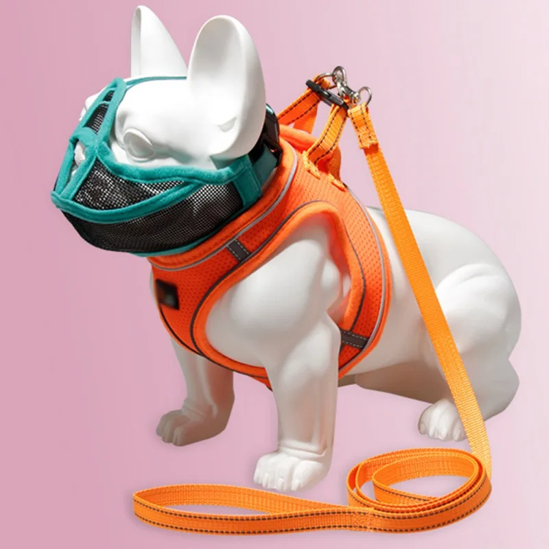 

Pet Thin Mesh Reflective Chest Harness And Leash Suit Day And Night Outdoor Supplies