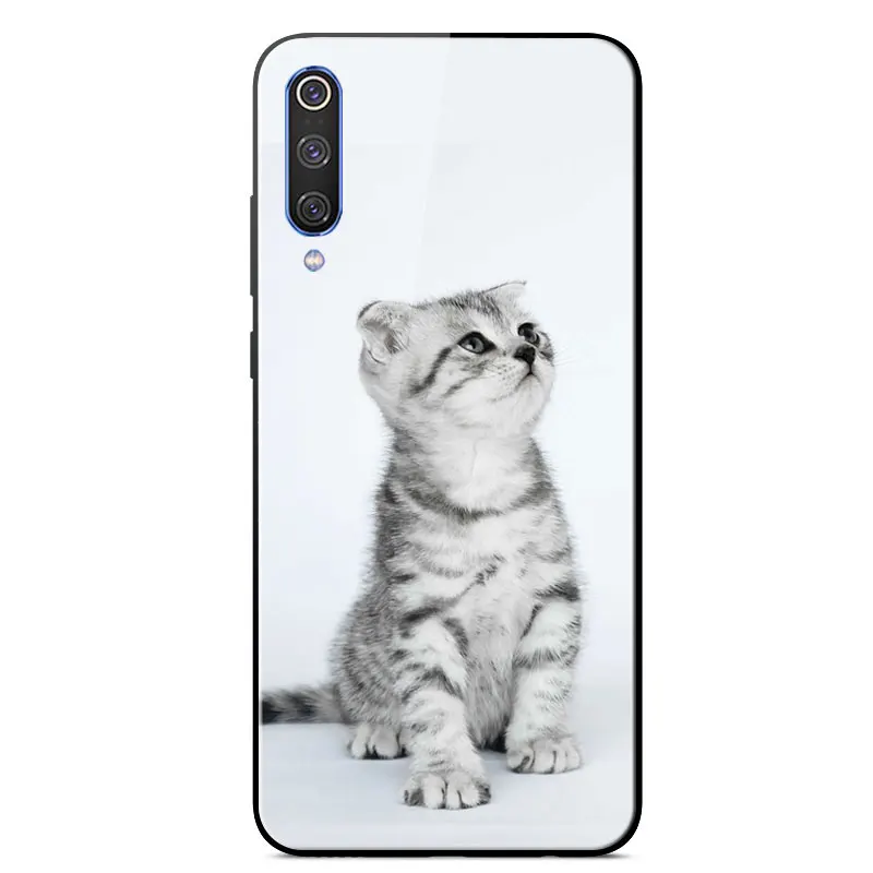 

Shockproof Case For XiaoMi Mi 9 Mirror Painted Tempered glass Back Cover For XiaoMi Mi 9 Silicone Frame Phone Cover 6.39 inch