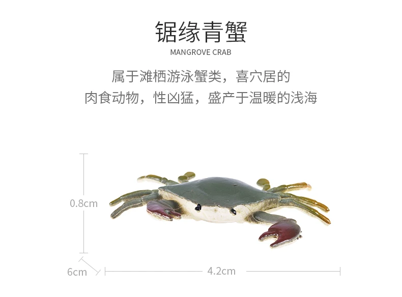 

Action & Toy Figures